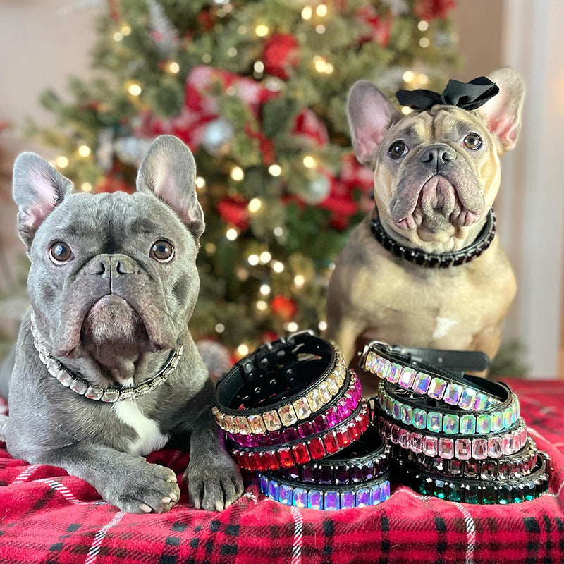 Two French Bulldogs wearing PU rhinestone collars sitting on a red plaid blanket with stacked rhinestone collars in front