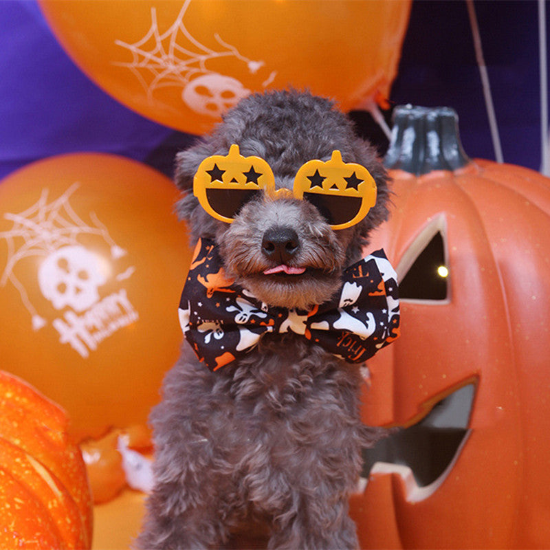 Gray poodle wearing Halloween pumpkin glasses and ghost patterned bow tie with Halloween balloons in background
