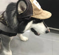 Load image into Gallery viewer, Pet Hat Sports Sunscreen Dog Breathable
