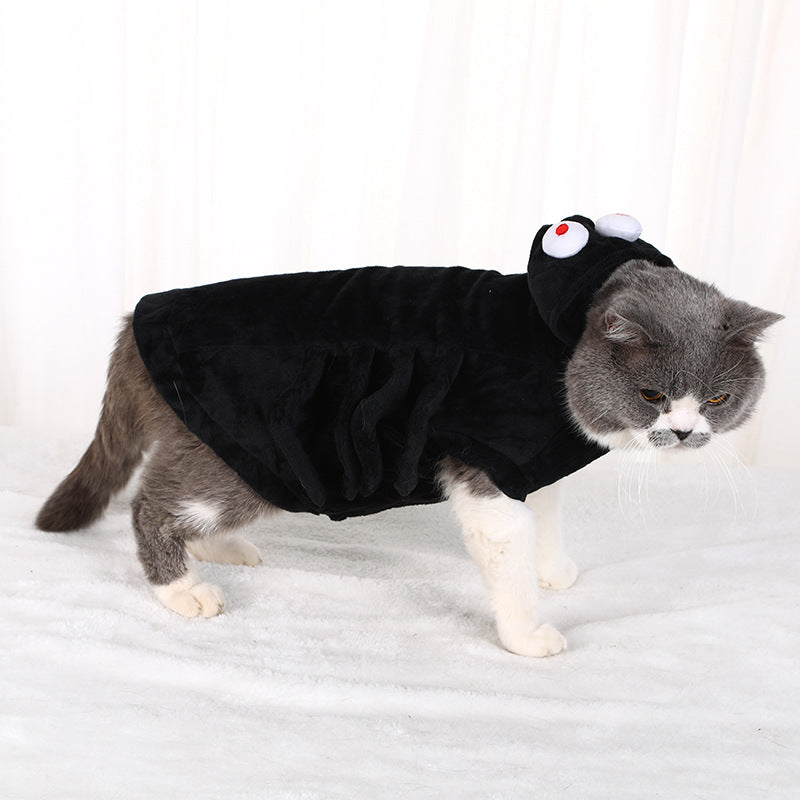 Gray and white cat wearing black spider hoodie with plush legs and hood eyes on white background