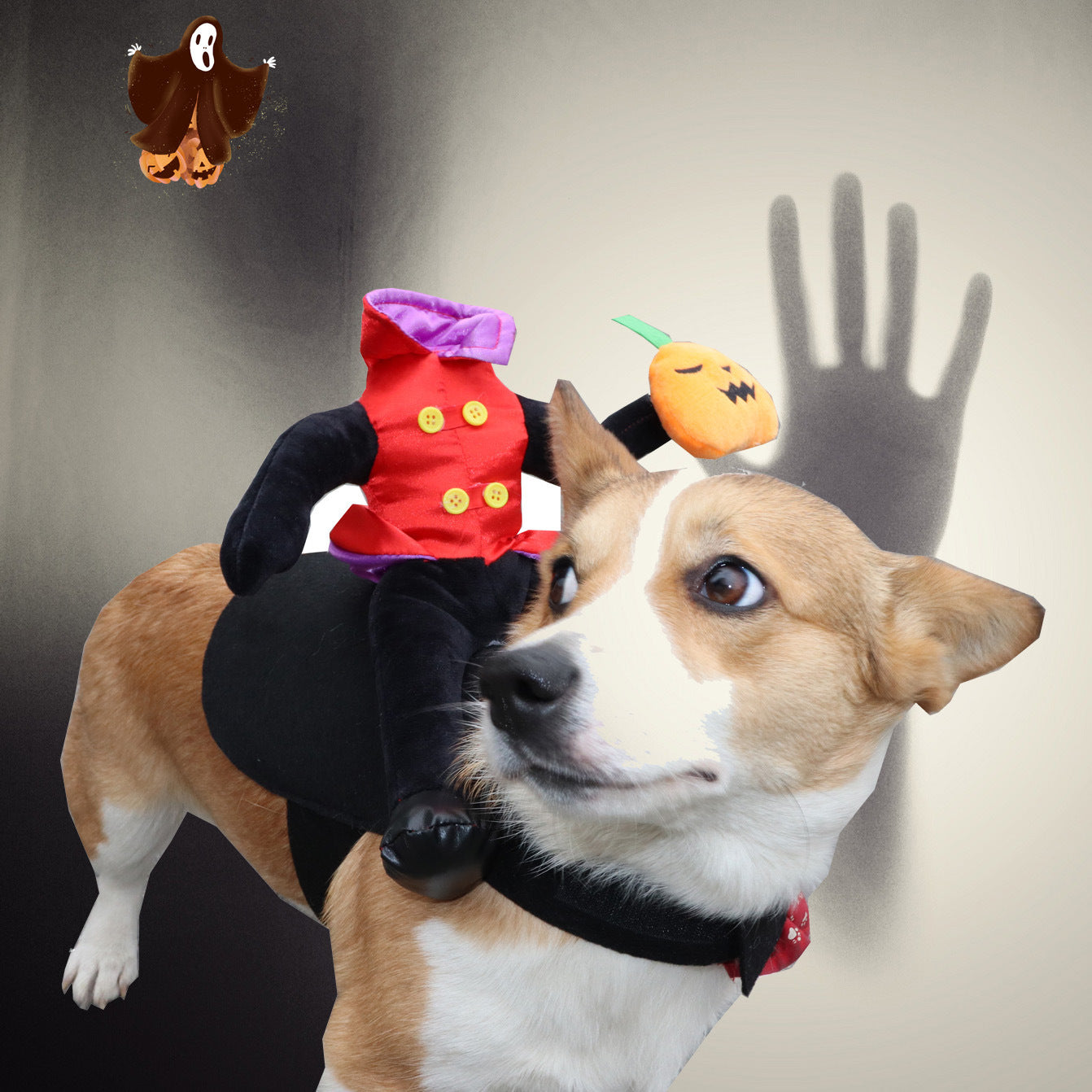 Corgi dog wearing headless man Halloween costume with pumpkin plush on hand and shadow of a ghost in the background