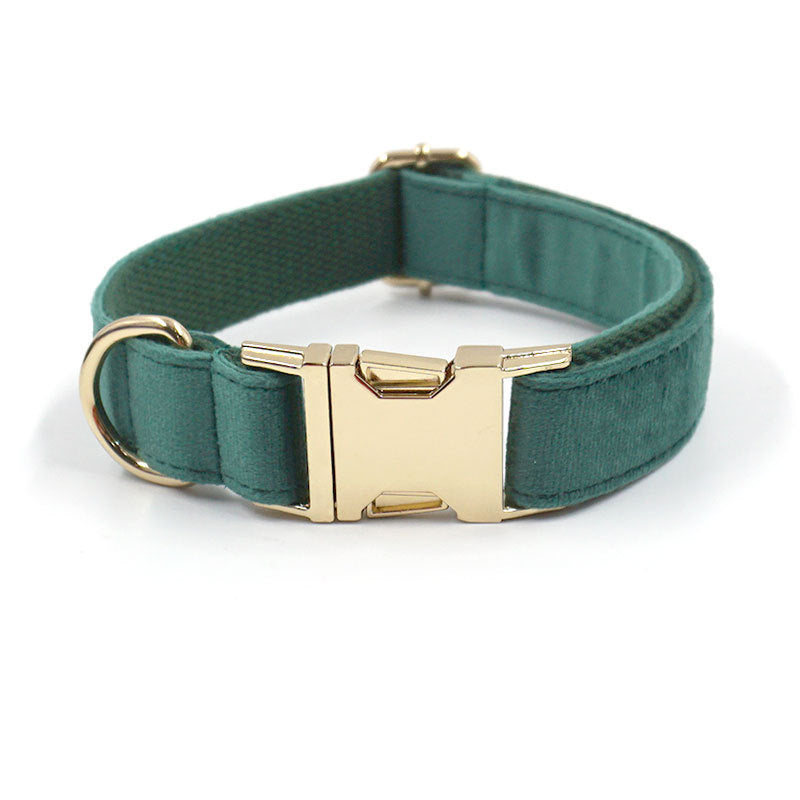 Green velvet dog collar with gold buckle and D-ring