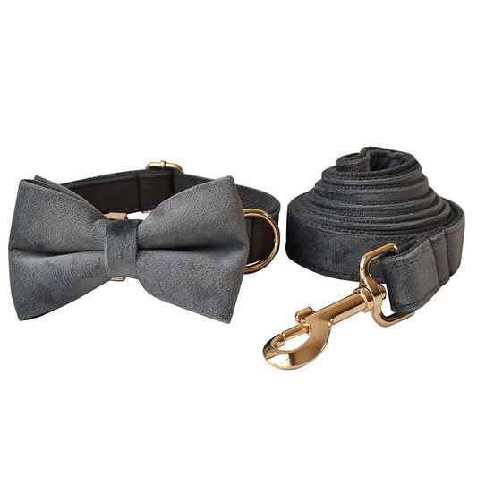 Gray velvet dog collar with matching bow tie and rolled-up leash with gold carabiner