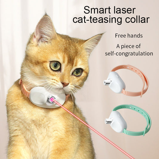 Cat wearing USB laser collar in peach with laser dot on floor