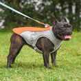 Load image into Gallery viewer, Summer Pet Outdoor Breathable Cooling Vest
