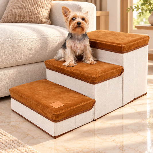 Yorkshire terrier on brown foldable pet stairs in a cream living room