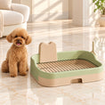 Cargar la imagen en la vista de la galería, Small apricot poodle beside a green and beige dog potty tray on ivory marble

