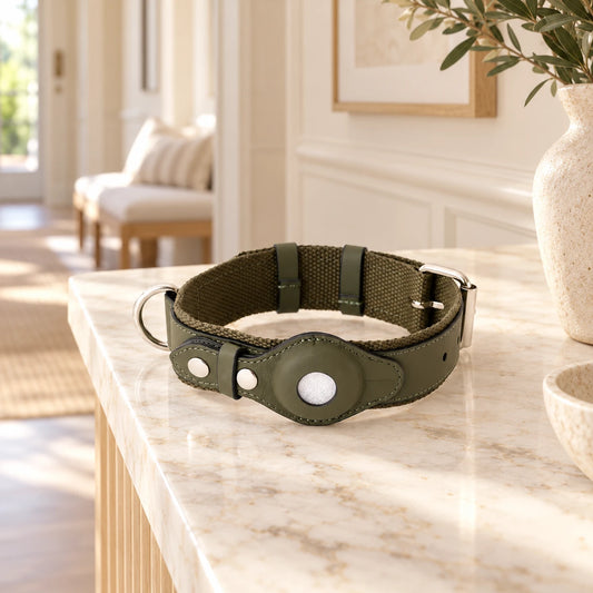 Olive tracker-holder dog collar resting on a marble console in a cream hallway