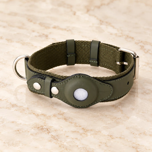 Olive dog collar with round tracker holder and silver-tone hardware on ivory marble