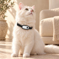 Cargar la imagen en la vista de la galería, White long-haired cat wearing a white pet camera in a black collar holder
