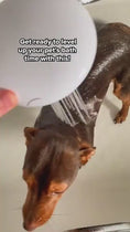 Load and play video in Gallery viewer, 1.mp4
