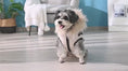 Charger et lire la vidéo dans la visionneuse de la galerie, The New Teddy Bichon Pet Cotton Coat Autumn And Wi
