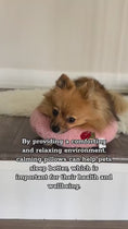 Load and play video in Gallery viewer, 1.mp4
