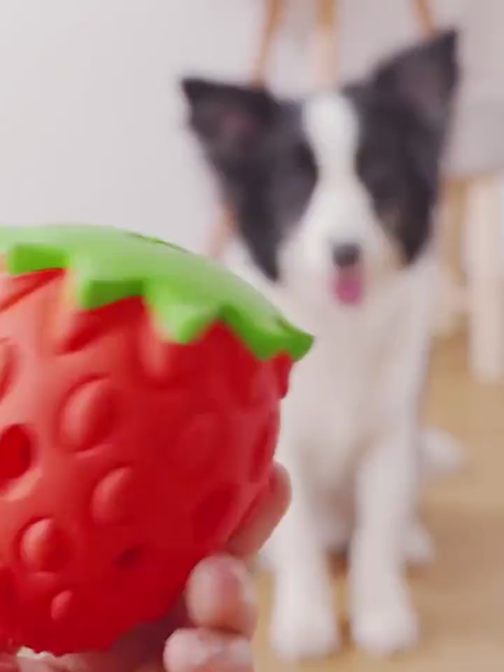 Pet Dog Teeth Cleaning Tooth Bite Resistant Toy Ba