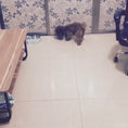 Reproducir el video en la vista de la galería, 1
