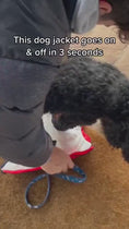 Load and play video in Gallery viewer, 1.mp4
