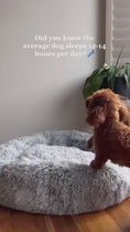 Load and play video in Gallery viewer, video
