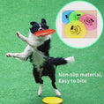 Load and play video in Gallery viewer, 1
