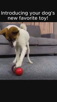 Load and play video in Gallery viewer, 1.mp4
