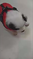 Reproducir el video en la vista de la galería, 1
