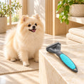 Cargar la imagen en la vista de la galería, Turquoise and grey grooming comb beside a cream Pomeranian in a bright grooming nook
