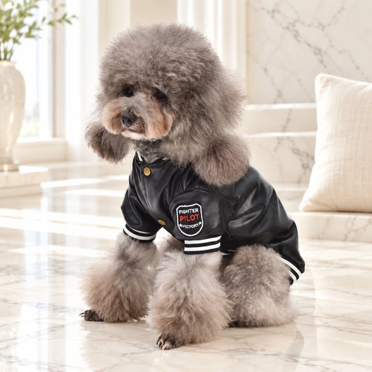 Faux Leather Varsity Dog Jacket shown in use by a dog in a light interior