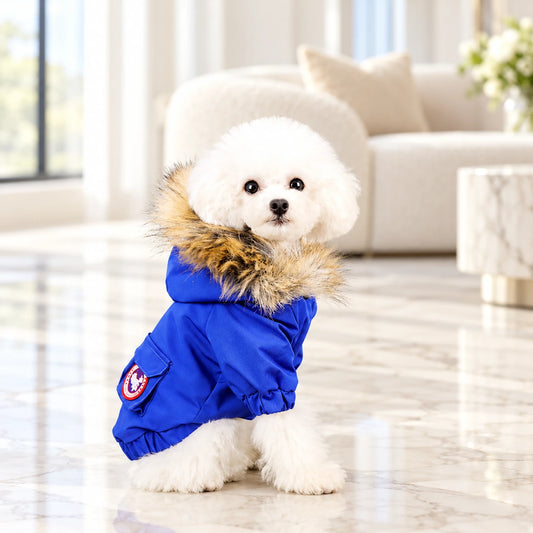 Hooded Puffer Dog Coat shown in use by a dog in a light interior