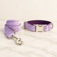 Cargar la imagen en la vista de la galería, Lilac velvet dog collar and matching lead
