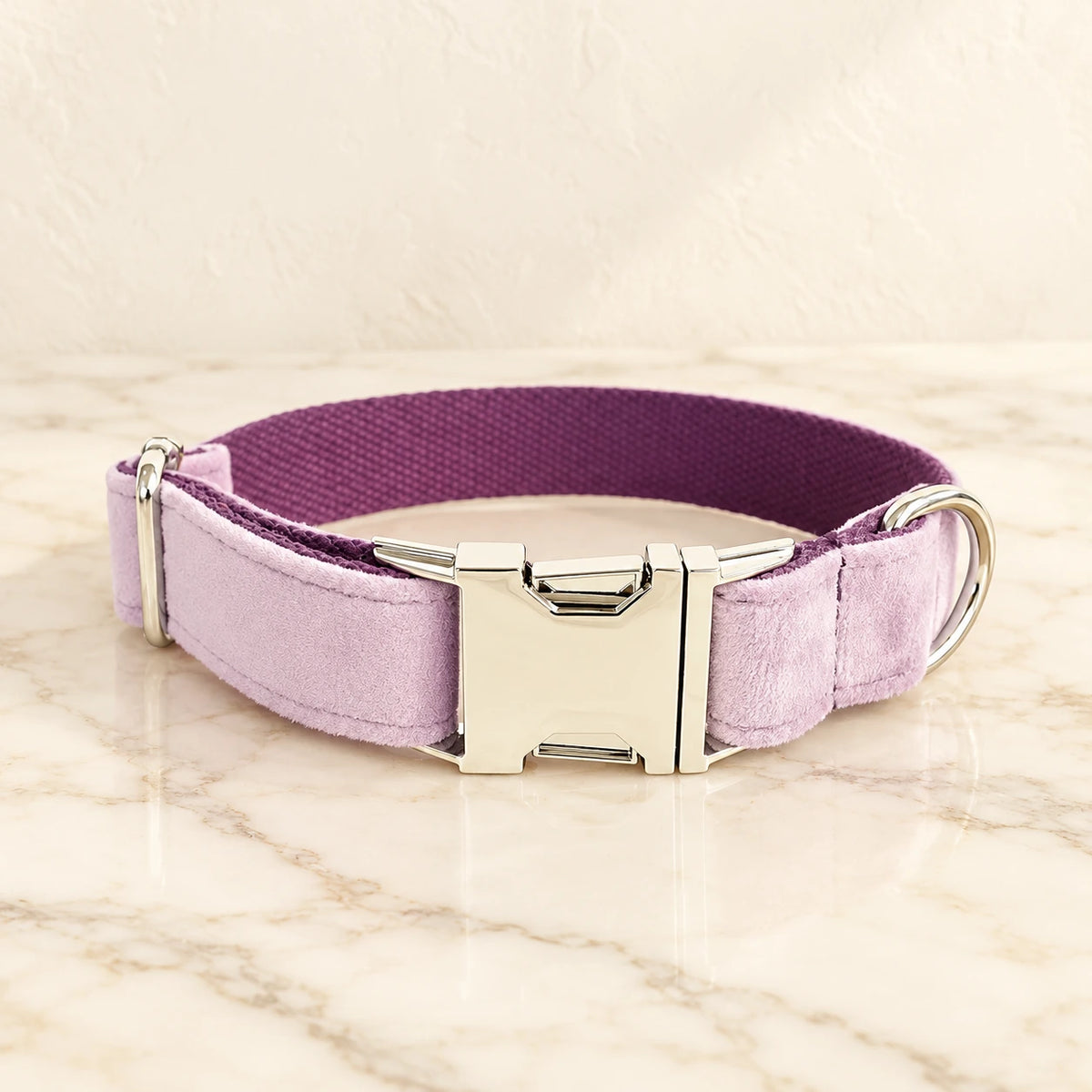 Lilac velvet dog collar with silver-tone buckle