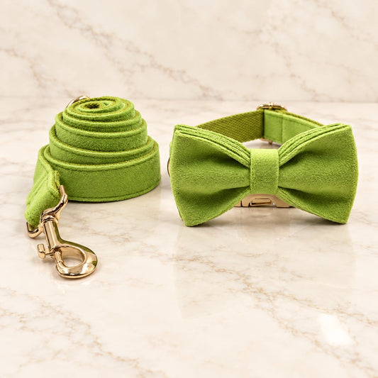 Matcha Velvet Dog Collar, Bow & Lead Set on pale ivory marble