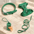 Charger l'image dans la visionneuse de la galerie, Green dog harness, collar, lead and bag holder arranged on beige marble
